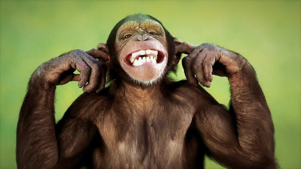 How to take control over your monkey mind!